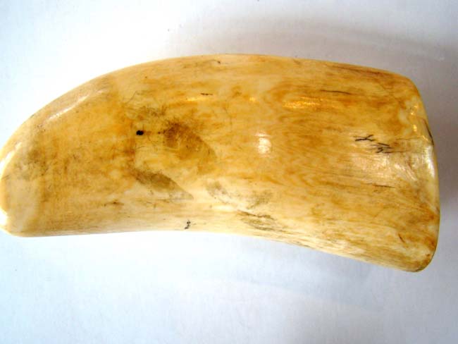 A wonderful 19th century scrimshawed Sperm Whale's Tooth with Shipwreck scene — image 3